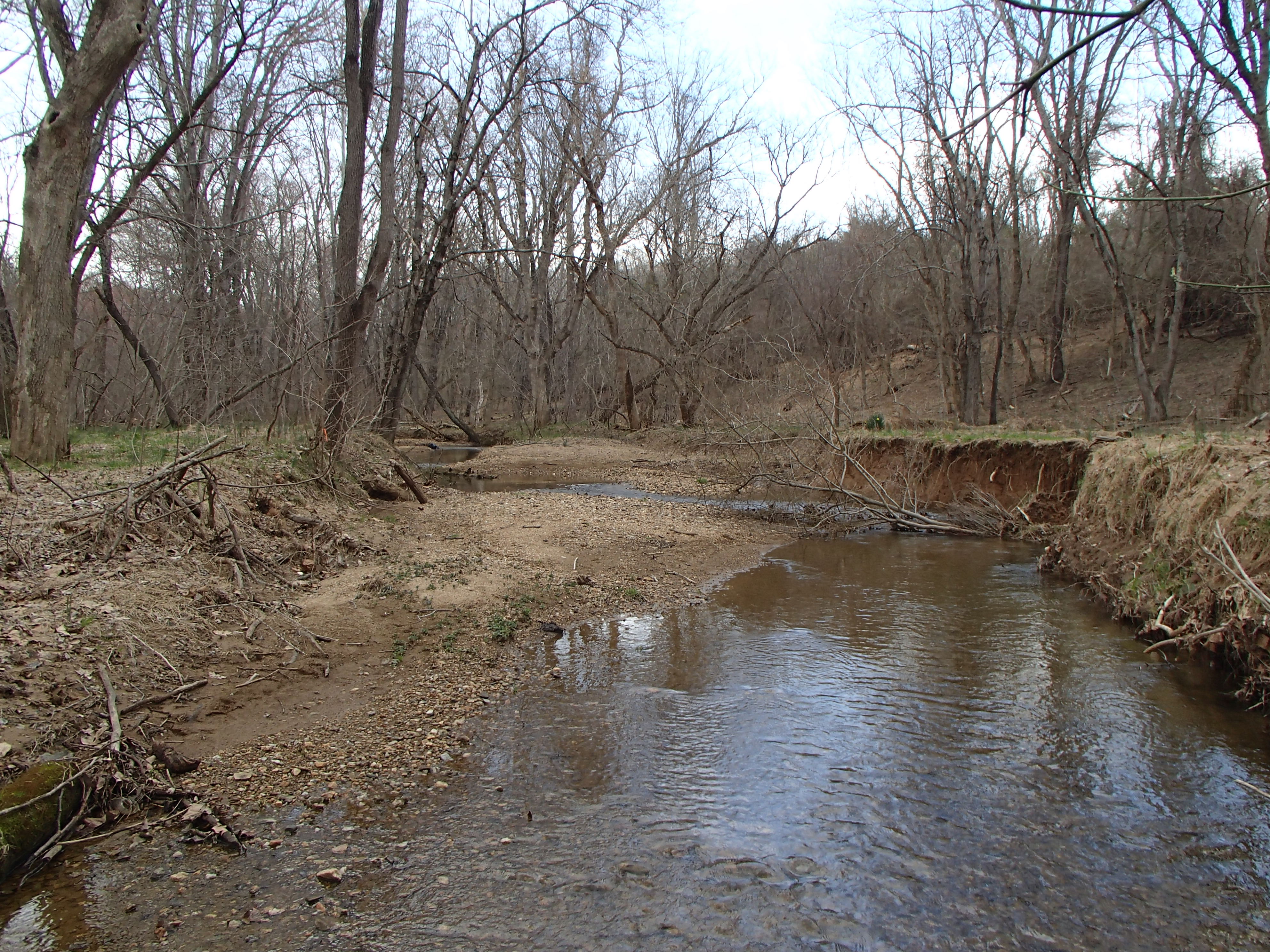 Field photo showing stream conditions at site PRMO-208-X-2016_Midpoint looking downstream
